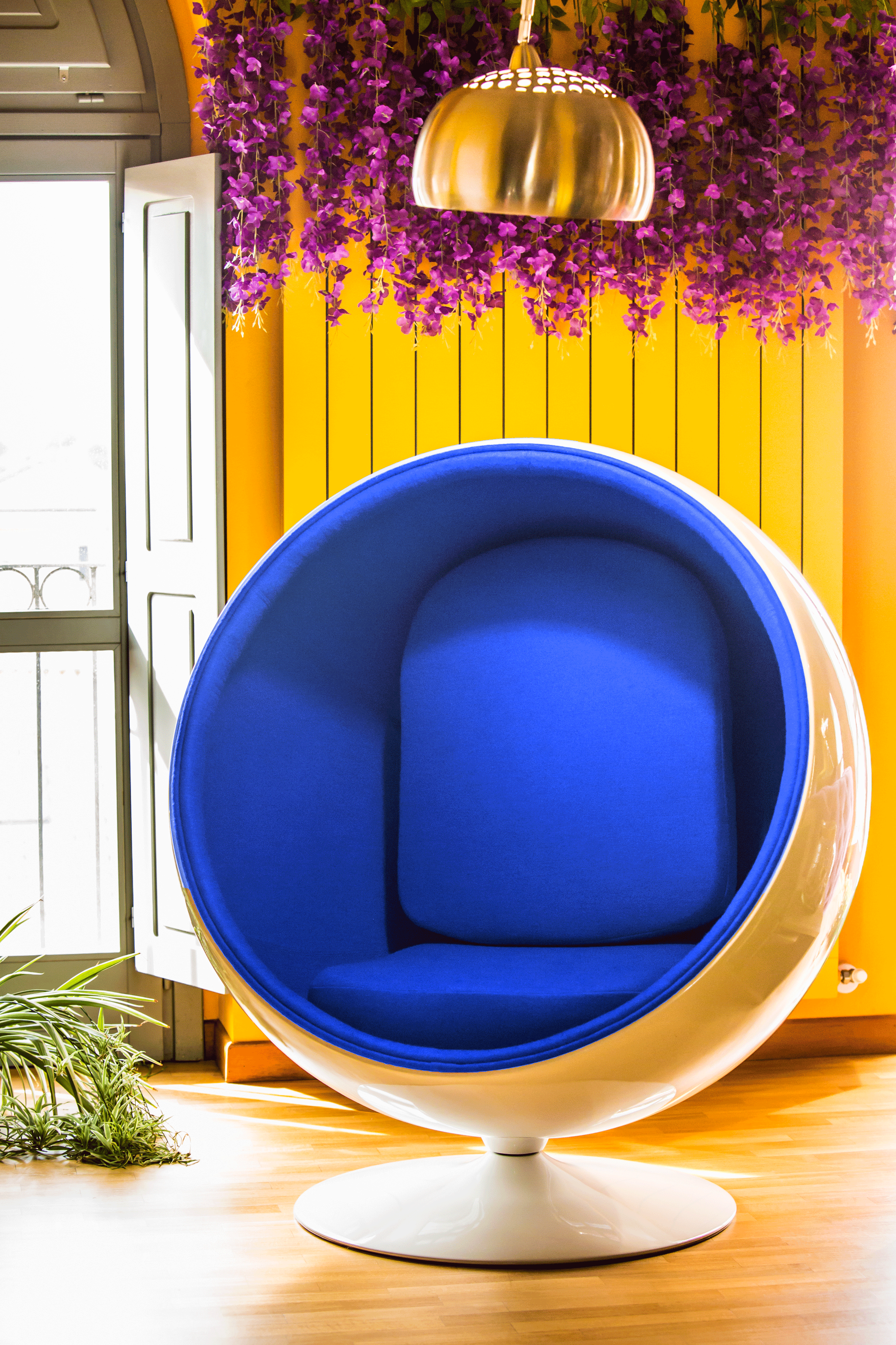 ball chair wow furniture